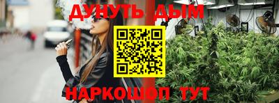 гидра Краснодар